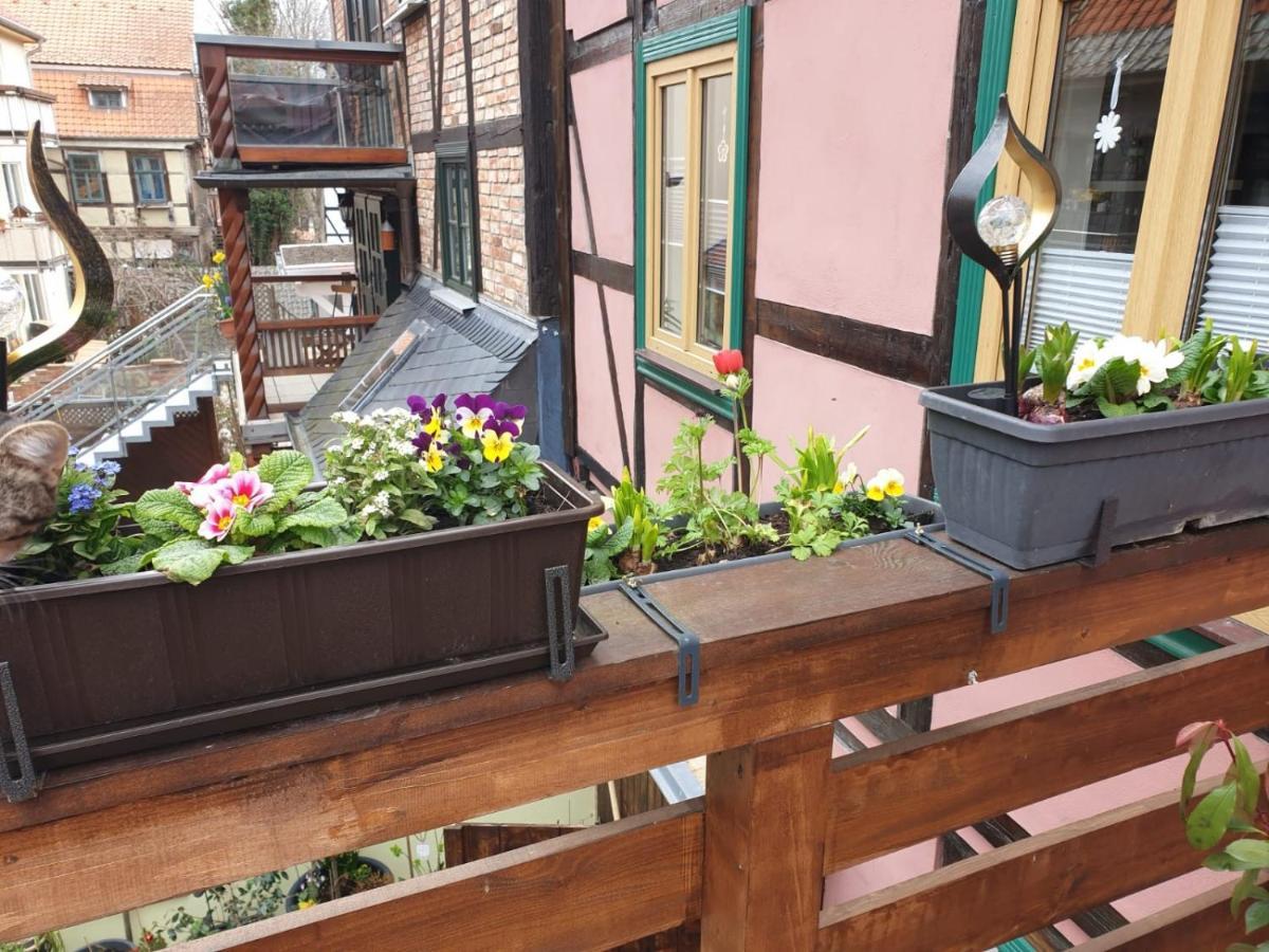 Ferienwohnung Goldstr.7 Quedlinburg Dış mekan fotoğraf